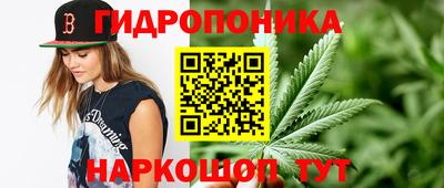 mix Будённовск