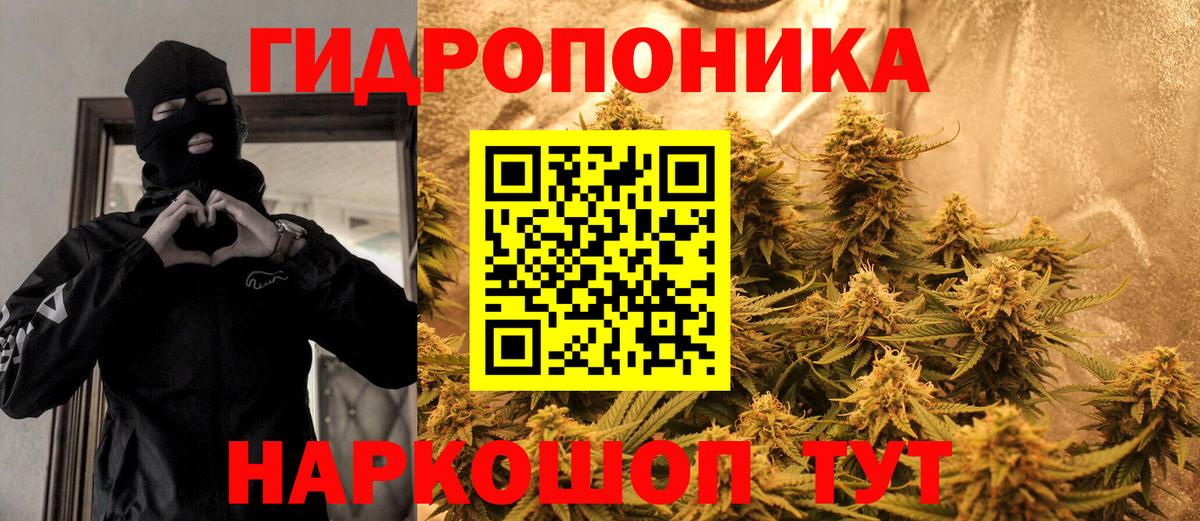 Каннабис гибрид  Вход с VPN  Марихуана MAZAR  Миасс  МАРИХУАНА сатива 
